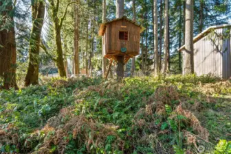 Tree House