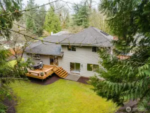 Room to play in this backyard!