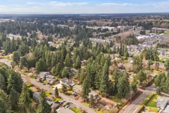 Drone view capturing the home’s location within a quiet residential area surrounded by mature evergreens.