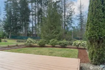 Backyard BBQs on the large deck.