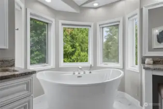 Primary En suite - Deep Corner soaker tub with tree top views