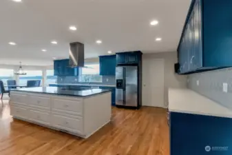 Under cabinet lighting throughout the kitchen! Pantry is located in the door next to the fridge as well as the main level elevator access!