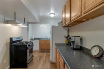 Inside the Apartment - Full kitchen with gas stove, fridge and dishwasher!