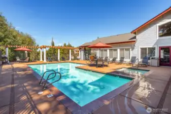 shot of pool from last summer