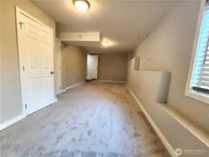 Lower level rec room with 1/2 bath