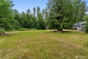 Large Backyard