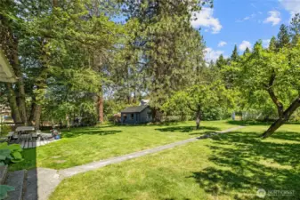 Shady backyard provides filtered sunlight, great for those hot summer days.
