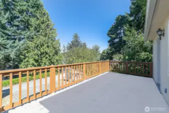 Sweeping Outdoor Deck