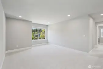 Bonus Room off the Landing