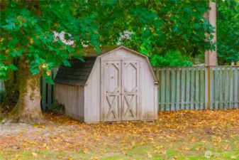 Shed is great for yard tools, etc.