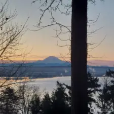 View from the Primary Bedroom window
