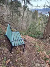Top of the trail view bench