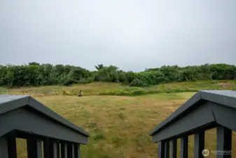 Back yard and trail to Beach