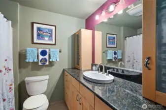 Main Floor Bathroom