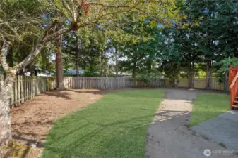 Big back yard (grass is virtually enhanced)