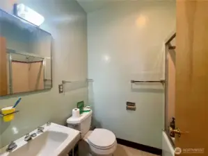 Owner's bathroom.