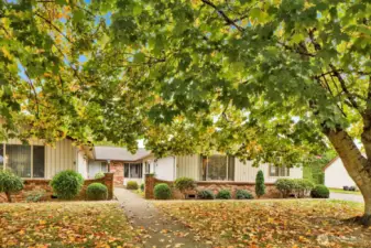 Perfect for simplifying life or starting fresh in a serene setting. ??