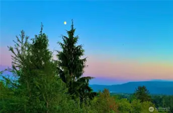 Privacy & nature abounds