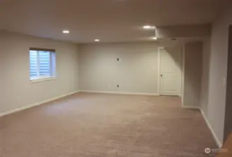 Basement Family Room