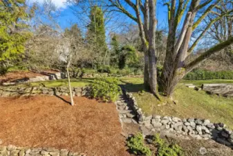 Spacious yard with so much privacy and nature