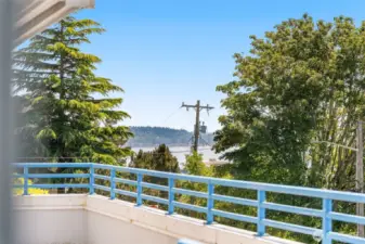 View from the Patio