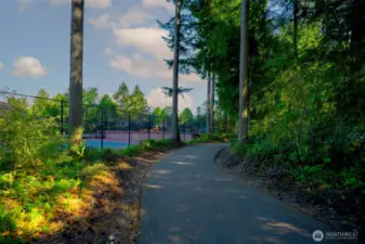 Walking trails that lead you down to beach access.