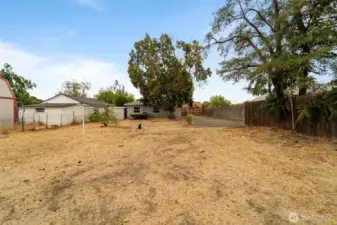 Spacious back yard and back of house