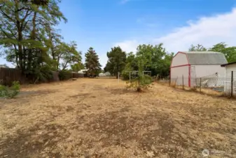 Extra Large Backyard
