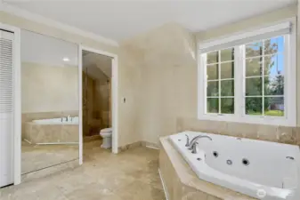 Master Bath with heated floor.