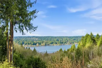 Lake view in the back.