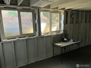 Basement NE Windows