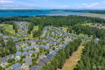 Meridian Campus is a highly desired neighborhood, known for its miles of trails, two professional golf courses, community park, proximity to the Puget Sound, JBLM and tons of amenities.