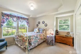 Bedroom on main floor with spacious closet and coffered ceiling! Fully wood wrapped windows.  Attention to details in every room of this home.