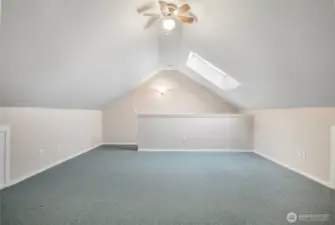Another angle of this bedroom above the garage with skylights and mass storage and 2 closets.