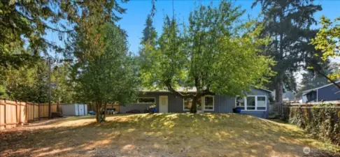 Fully fenced backyard with new fence!