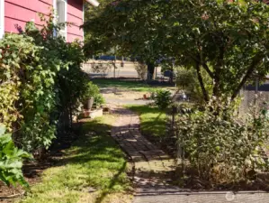 Pathway to front yard