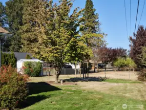Yard