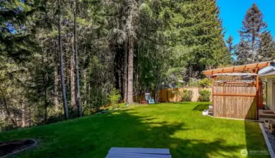 Another angle of the backyard.