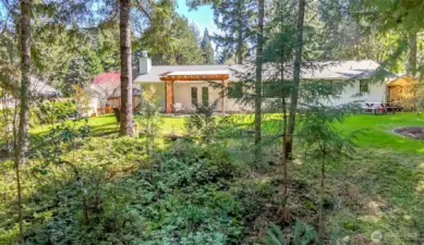 A view from the trees behind the yard.