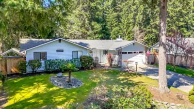 Lovely front yard and a sweet palm tree just for fun!