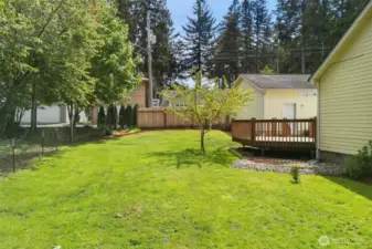 Side yard