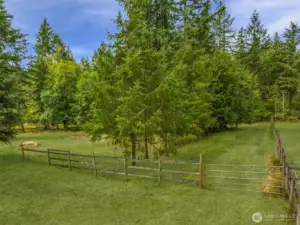 View of fenced pasture area behind home.  Bring the critters!