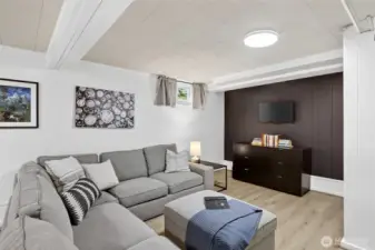 Lower Living Room in the Mother-In-Law Unit also features LVP floors