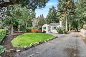 Expansive Front Yard