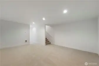 Rec Room Basement