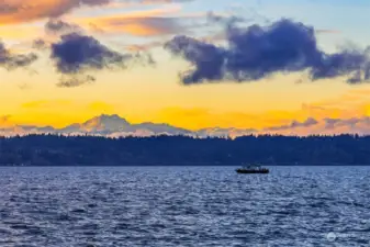 A striking panorama of vistas: the snow-capped Olympic Range, the mysterious islands across the channel and the vibrant marine wildlife & activity.