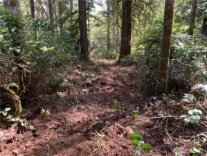 Trail intersects the cat track, follow that out to the road.