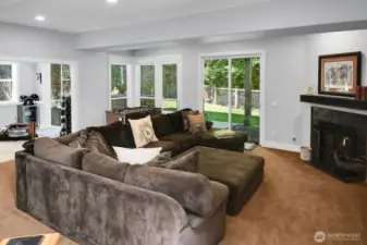 Lower level Family room