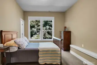 Lower level bedroom