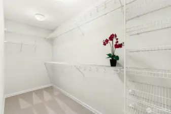 Huge Owner's walk-in closet